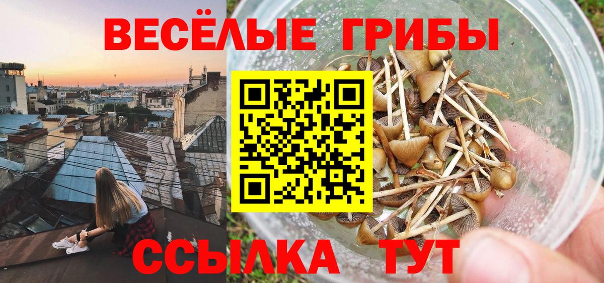 Воскресенск  Галлюциногенные грибы мухоморы  Галлюциногенные грибы Cubensis  Вход с VPN 